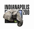 indianapolis-zoo