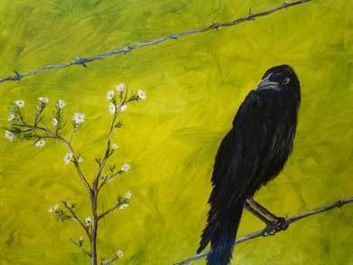 Weeds and Vermin